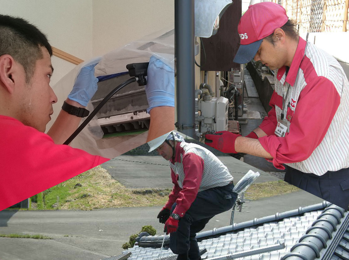 eg-pic02